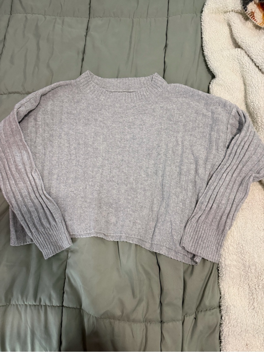 American Eagle Outfitters Light Gray Ribbed Cropped Crewneck Sweater